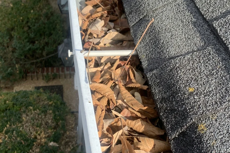 Gutter Cleaning El Portal FL